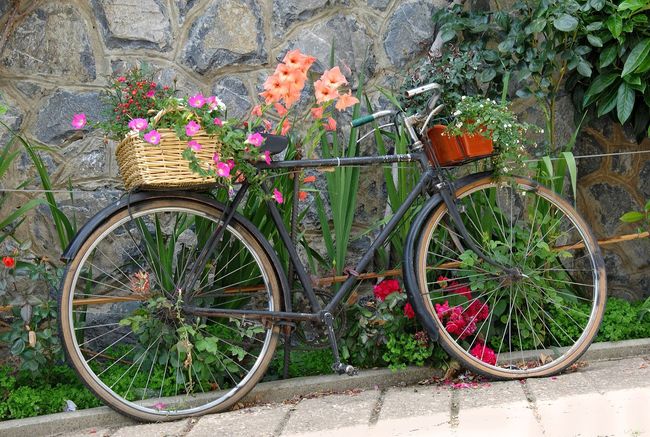Teun's Tuinposters - Fiets met manden Teun's Tuinposters - Fiets met manden