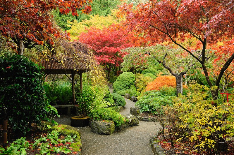 Tuinposter 'Bos met huisje'