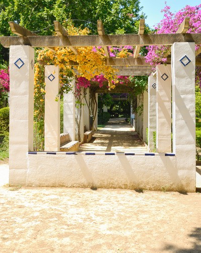 Teun's Tuinposters - Tunnel bloemen Teun's Tuinposters - Tunnel bloemen