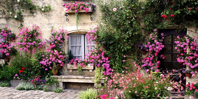 Tuinposter 'Bloemenmuur '