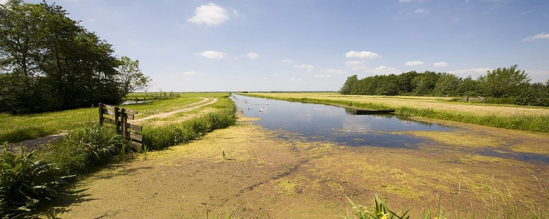 Tuinposter 'Noord-hollands landschap'