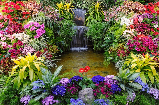 Teun's Tuinposters - Watertrappetje Teun's Tuinposters - Watertrappetje