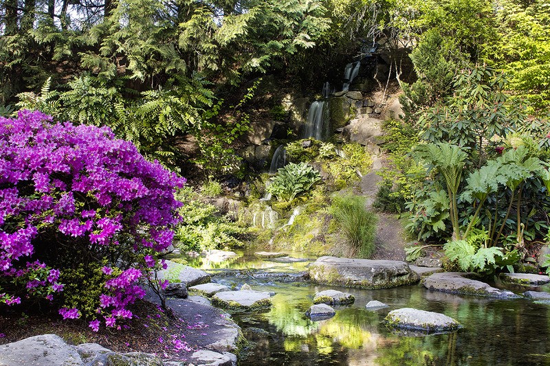 Tuinposter 'Vijver met watervalletje'