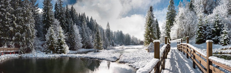 Tuinposter 'Winterlandschap'