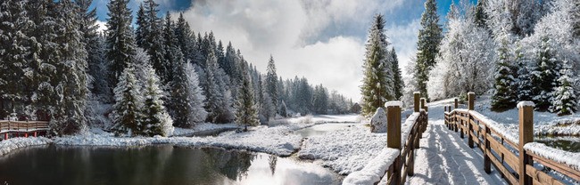 Tuinposter van Winterlandschap