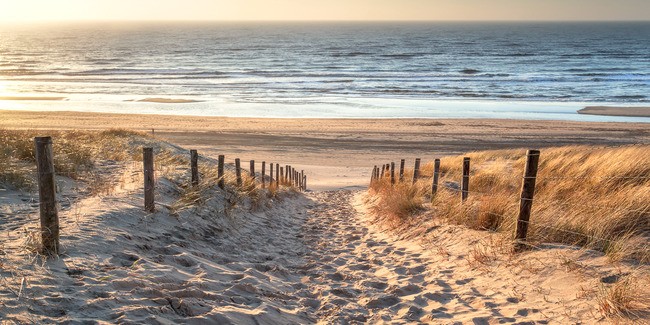 Tuinposter van Strandpad