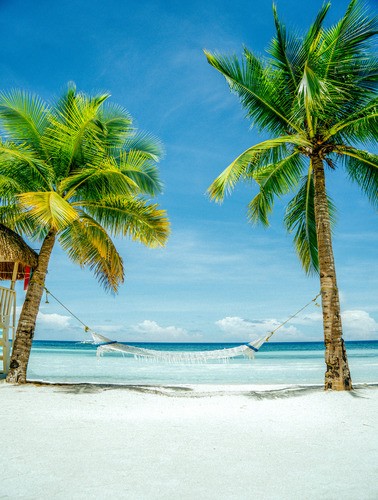 Teun's Tuinposters - Hangmat bij het strand