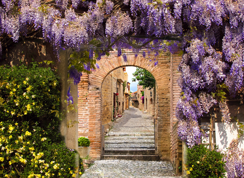 Tuinposter 'Poort met blauwe regen'