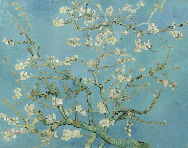 Teun's Tuinposters - Amandelbloesem - Vincent van Gogh Teun's Tuinposters - Amandelbloesem - Vincent van Gogh
