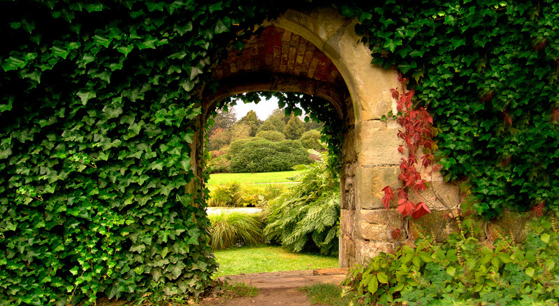 Tuinposter 'Muurboog panorama'