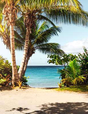 Tuinposter van Pad naar strand 