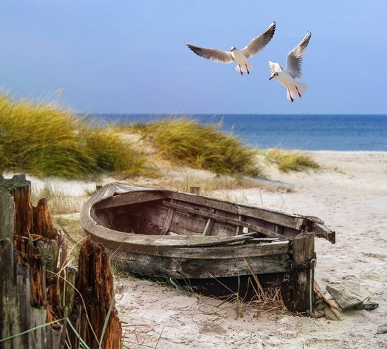 Teun's Tuinposters - Boot in de duinen