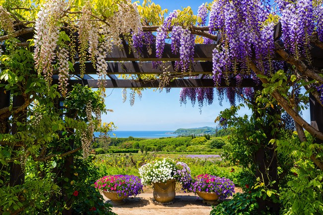 Teun's Tuinposters - Bloemrijke zicht op zee