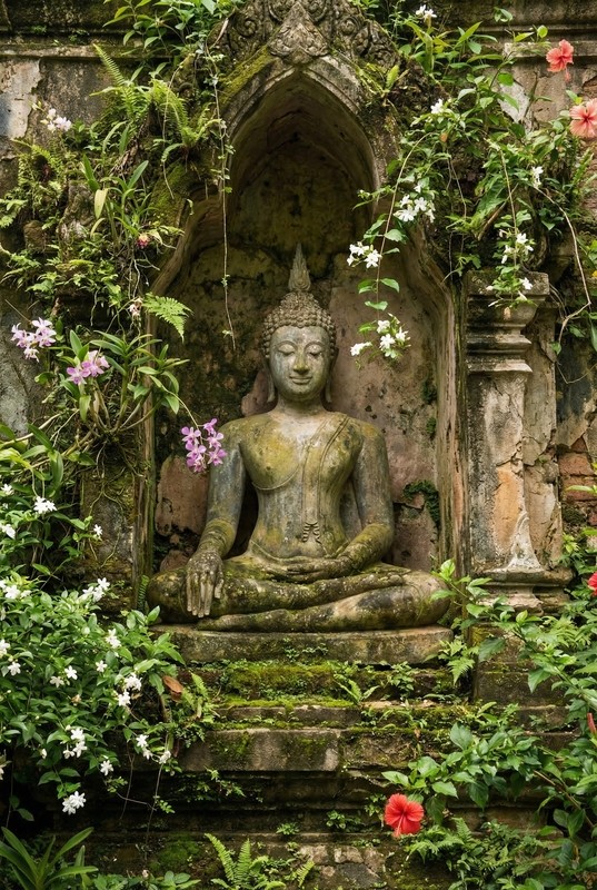 Tuinposter 'Boeddha in nis'