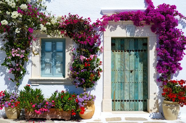 Teun's Tuinposters - Mediterrane bloemen met deur