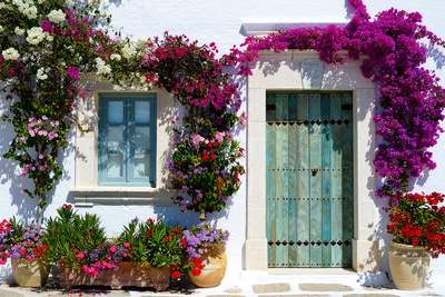 Tuinposter van Mediterrane bloemen met deur