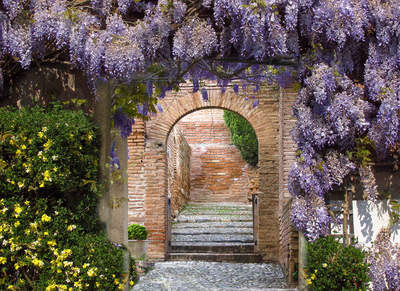 Tuinposter van Doorkijk met blauwe regen