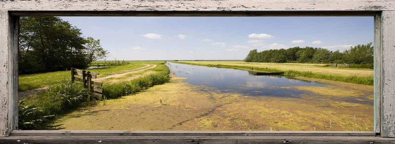 Tuinposter 'Raam met noordhollands landschap'