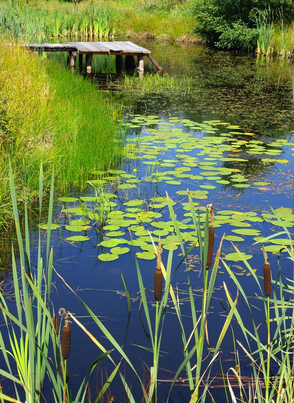 Tuinposter 'Hollandse sloot'