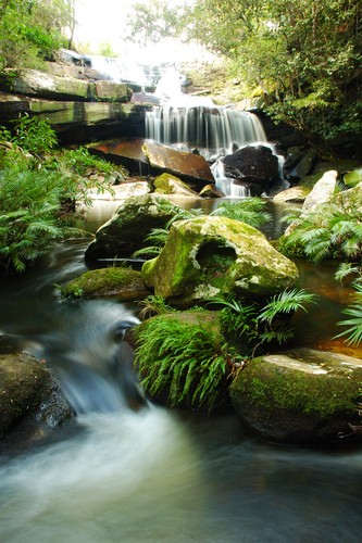 Teun's Tuinposters - Waterval / mos Teun's Tuinposters - Waterval / mos