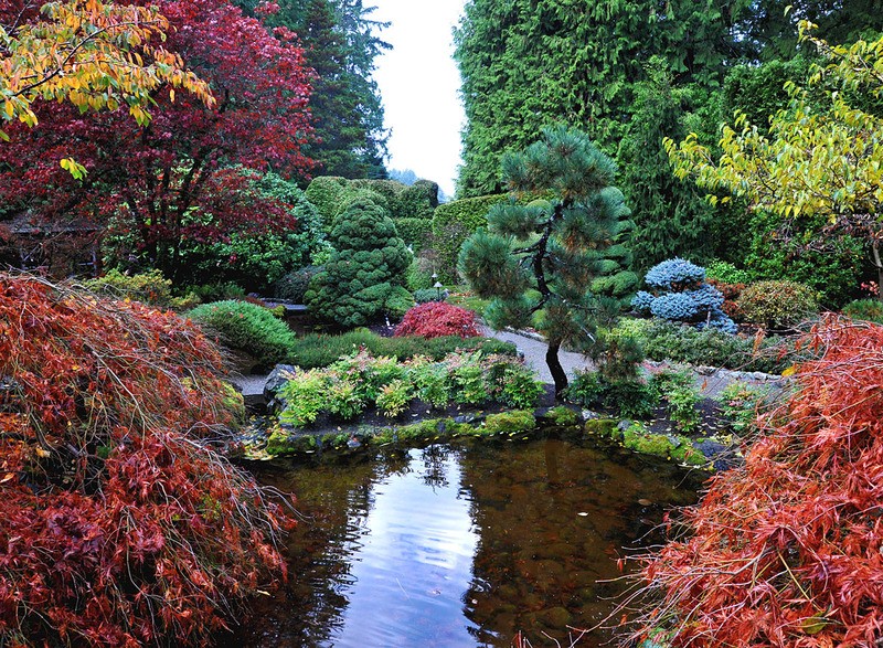 Tuinposter 'Japanse tuin'