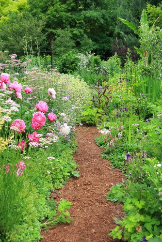 Teun's Tuinposters - Wilde tuin Teun's Tuinposters - Wilde tuin