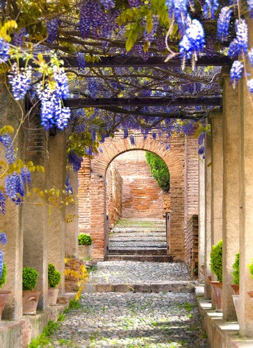 Teun's Tuinposters - Doorkijk met blauwe regen (staand)