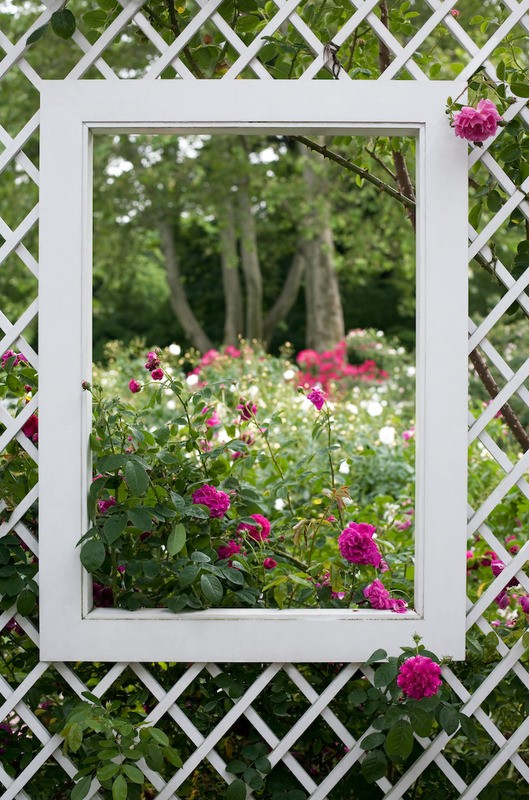 Tuinposter 'Doorkijk in trellisscherm'